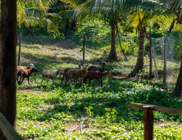 Ecoturismo-1280x853-1