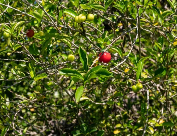 Ecoturismo-1280x853-5