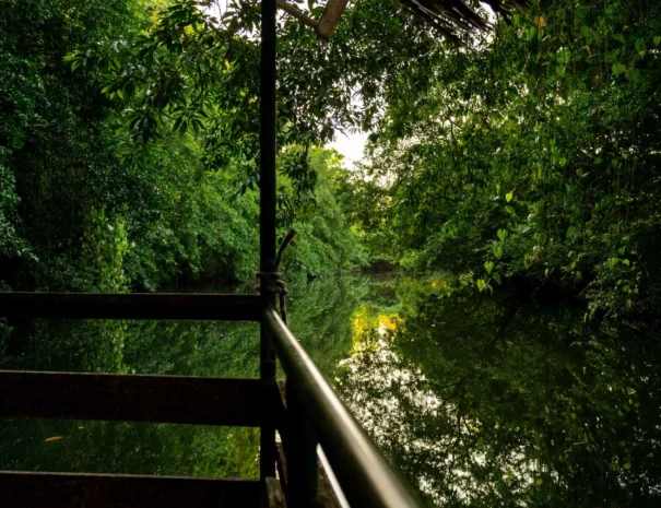 Ecoturismo-1280x853-6