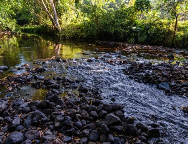 Ecoturismo-1280x853-8