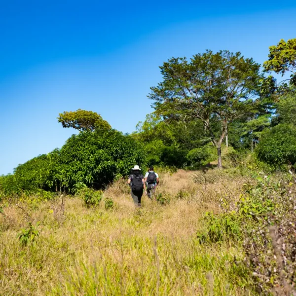 RioPiedra Farm Routes
